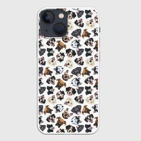 Чехол для iPhone 13 mini с принтом Разные Породы Собак в Рязани,  |  | Тематика изображения на принте: animal | dog | барбос | бобик | год собаки | друг человека | животное | зверь | ищейка | кинолог | кость | лайка | лапы | пес | собака | собачка | хищник | четвероногий | шарик | щенок