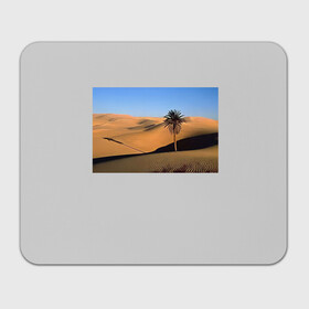 Прямоугольный коврик для мышки с принтом Пустыня в Рязани, натуральный каучук | размер 230 х 185 мм; запечатка лицевой стороны | Тематика изображения на принте: пустынякрасивая пустыняприродапейзаж