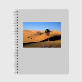 Тетрадь с принтом Пустыня в Рязани, 100% бумага | 48 листов, плотность листов — 60 г/м2, плотность картонной обложки — 250 г/м2. Листы скреплены сбоку удобной пружинной спиралью. Уголки страниц и обложки скругленные. Цвет линий — светло-серый
 | Тематика изображения на принте: пустынякрасивая пустыняприродапейзаж