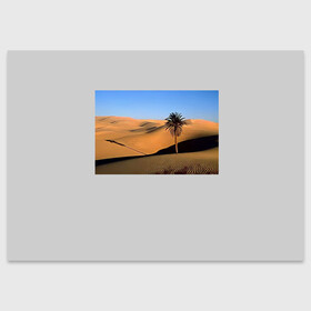Поздравительная открытка с принтом Пустыня в Рязани, 100% бумага | плотность бумаги 280 г/м2, матовая, на обратной стороне линовка и место для марки
 | Тематика изображения на принте: пустынякрасивая пустыняприродапейзаж