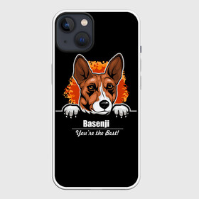 Чехол для iPhone 13 с принтом Басенджи (Basenji) в Рязани,  |  | african dog | animal | basenji | congo terrier | dog | африканская собака | басенджи | год собаки | друг человека | животное | зверь | кинолог | конго терьер | пёс | собака басенджи | собаковод | четвероногий