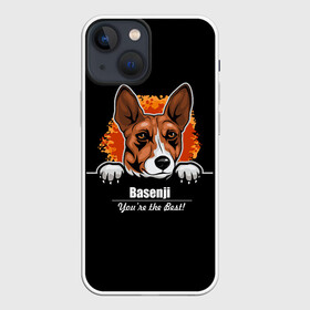 Чехол для iPhone 13 mini с принтом Басенджи (Basenji) в Рязани,  |  | african dog | animal | basenji | congo terrier | dog | африканская собака | басенджи | год собаки | друг человека | животное | зверь | кинолог | конго терьер | пёс | собака басенджи | собаковод | четвероногий