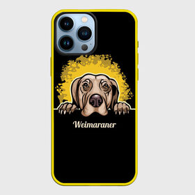 Чехол для iPhone 13 Pro Max с принтом Веймаранер (Weimaraner) в Рязани,  |  | animal | dog | hunting dog | weimaraner | веймаранер | веймарская овчарка | год собаки | друг человека | животное | зверь | кинолог | легавая | охотничья собака | пёс | порода собак | собака | собака веймаранер