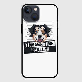 Чехол для iPhone 13 mini с принтом Австралийская Овчарка (Australian Shepherd) в Рязани,  |  | Тематика изображения на принте: animal | australian shepherd | dog | австралийская овчарка | аусси | год собаки | друг человека | животное | зверь | кинолог | колли | овчарка | пастушья собака | пёс | собака овчарка | собаковод | четвероногий