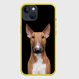 Чехол для iPhone 13 с принтом Строгий смелый взгляд в Рязани,  |  | Тематика изображения на принте: bull terrier | dog | ears | eyes | muzzle | view | бультерьер | взгляд | глаза | пёс | собака | уши