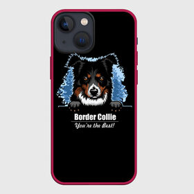 Чехол для iPhone 13 mini с принтом Бордер Колли (Border Collie) в Рязани,  |  | animal | border collie | dog | бордер колли | год собаки | друг человека | животное | зверь | ищейка | кинолог | кость | овчарка | пастушья собака | пёс | порода собак | собака бордер колли | собаковод