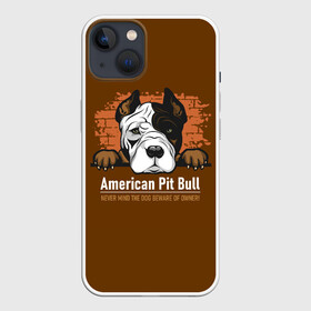 Чехол для iPhone 13 с принтом Американский Питбультерьер (Pit Bull Terrier) в Рязани,  |  | american pit bull terrier | boxer | bulldog | fighting dog | pit bull | американский питбультерьер | бойцовская собака | бойцовский пес | боксер | бульдог | волкодав | друг человека | кинолог | пес | питбуль | питбультерьер
