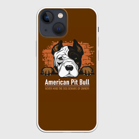 Чехол для iPhone 13 mini с принтом Американский Питбультерьер (Pit Bull Terrier) в Рязани,  |  | american pit bull terrier | boxer | bulldog | fighting dog | pit bull | американский питбультерьер | бойцовская собака | бойцовский пес | боксер | бульдог | волкодав | друг человека | кинолог | пес | питбуль | питбультерьер