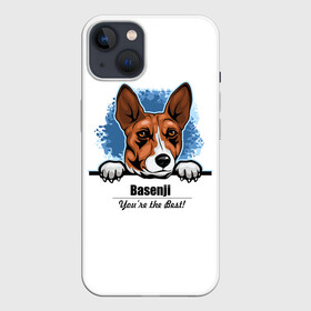 Чехол для iPhone 13 с принтом Собака Басенджи в Рязани,  |  | african dog | animal | basenji | congo terrier | dog | африканская собака | басенджи | год собаки | друг человека | животное | зверь | кинолог | конго терьер | пёс | собака басенджи | собаковод | четвероногий