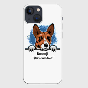 Чехол для iPhone 13 mini с принтом Собака Басенджи в Рязани,  |  | african dog | animal | basenji | congo terrier | dog | африканская собака | басенджи | год собаки | друг человека | животное | зверь | кинолог | конго терьер | пёс | собака басенджи | собаковод | четвероногий