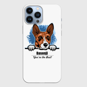 Чехол для iPhone 13 Pro Max с принтом Собака Басенджи в Рязани,  |  | african dog | animal | basenji | congo terrier | dog | африканская собака | басенджи | год собаки | друг человека | животное | зверь | кинолог | конго терьер | пёс | собака басенджи | собаковод | четвероногий