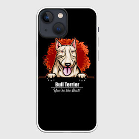 Чехол для iPhone 13 mini с принтом Собака Бультерьер в Рязани,  |  | bull terrier | bulldog | dog | fighting dog | pit bull | terrier | бойцовская собака | бульдог | бультерьер | год собаки | друг человека | животное | зверь | кинолог | кость | пёс | питбуль | порода собак | собака