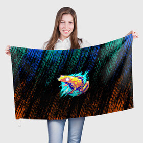 Флаг 3D с принтом Жаба цветная абстрактная в Рязани, 100% полиэстер | плотность ткани — 95 г/м2, размер — 67 х 109 см. Принт наносится с одной стороны | болото | жабы | ква | лягушка | неон