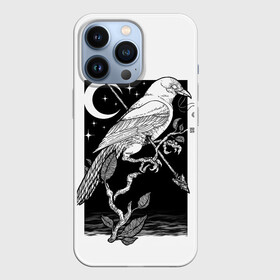 Чехол для iPhone 13 Pro с принтом Оккультный Ворон в Рязани,  |  | arrow | eclipse | feather | feathers | leaf | leaves | moon | night | occult | plant | raven | shoot | stars | sunset | trunk | wings | ворон | закат | затмение | звезды | крылья | лист | листья | луна | ночь | оккультизм | оккультный | перо | перья | поб