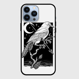 Чехол для iPhone 13 Pro Max с принтом Оккультный Ворон в Рязани,  |  | arrow | eclipse | feather | feathers | leaf | leaves | moon | night | occult | plant | raven | shoot | stars | sunset | trunk | wings | ворон | закат | затмение | звезды | крылья | лист | листья | луна | ночь | оккультизм | оккультный | перо | перья | поб