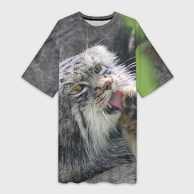 Платье-футболка 3D с принтом Манул  Лапка в Рязани,  |  | cat | cats | всеядный | детеныш | дикие | звери | зверята | кот | котик | лапка | манул | медведь | милый | природа | хищник