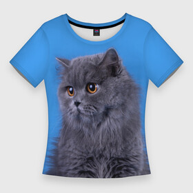 Женская футболка 3D Slim с принтом Британская длинношерстная кошка в Рязани,  |  | Тематика изображения на принте: british cat | английская кошка | британец | британская вислоухая кошка | британская кошка | британский кот | вислоухий британец | вислоухий котенок британец | кот британец | котенок британец