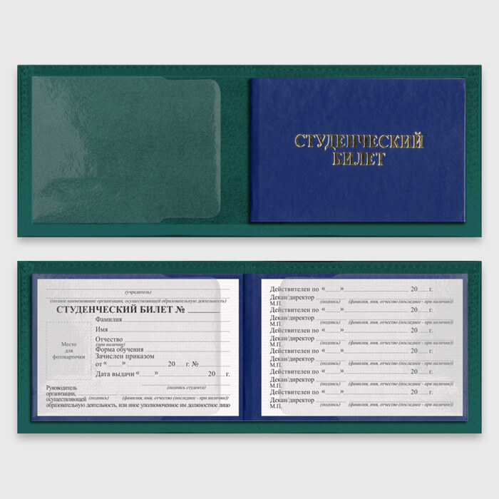 Обложка для студенческого билета Agatsuma Zenitsu Kimetsu no Yaiba фото