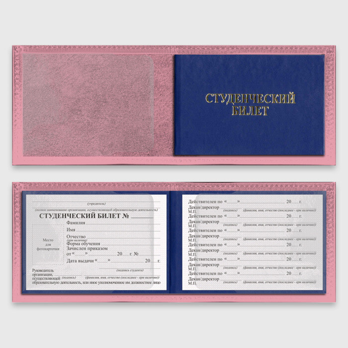 Обложка для студенческого билета Agatsuma Zenitsu Kimetsu no Yaiba фото