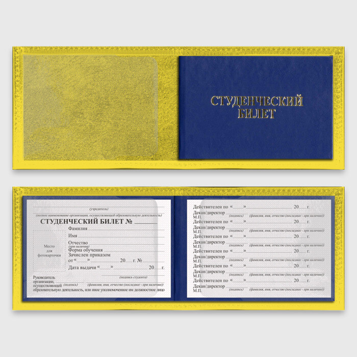 Обложка для студенческого билета Agatsuma Zenitsu Kimetsu no Yaiba фото